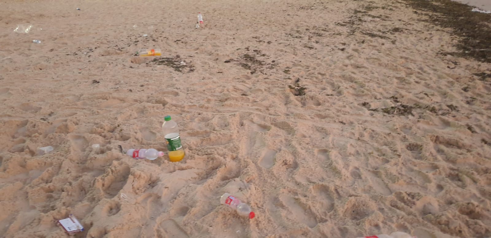 WhatsApp Image 2020-08-03 at 7.58.27 PM (1).jpeg.jpeg